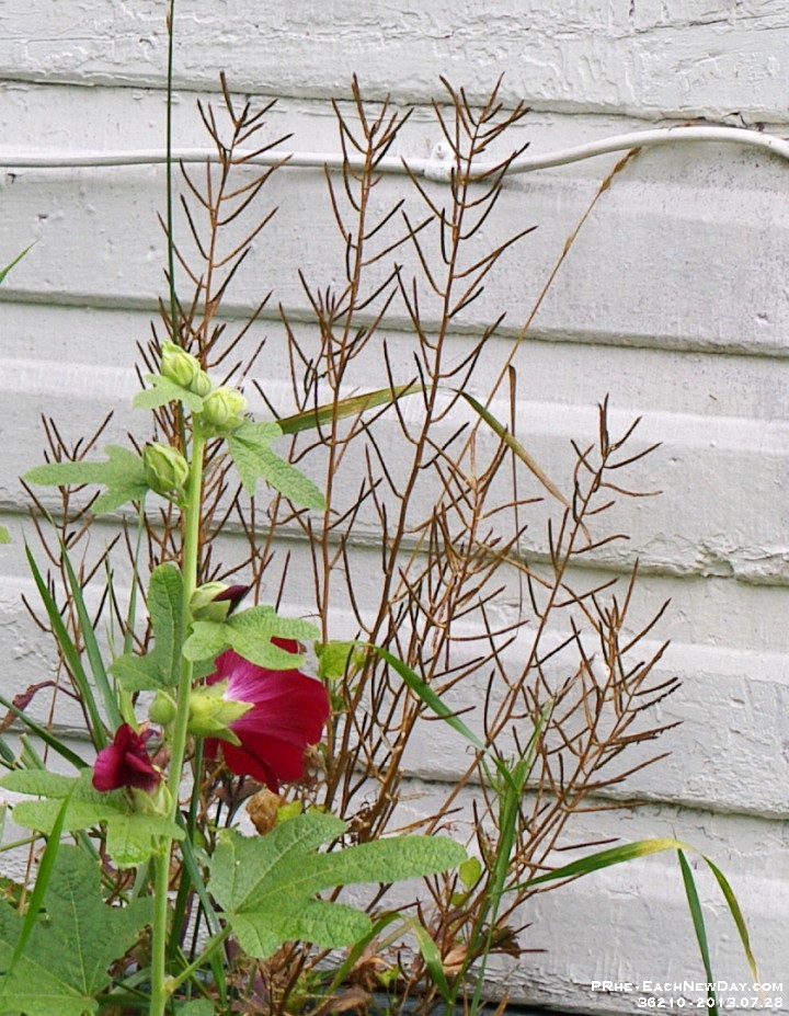 36210CrLe - With Beth and Andy - Exploring Kingston Mills Locks